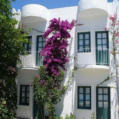 Safir Hotel Bitez