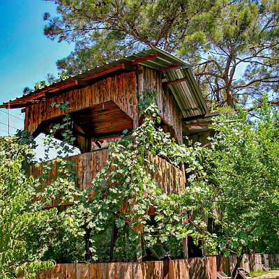 Olympos Çamlık Pansiyon