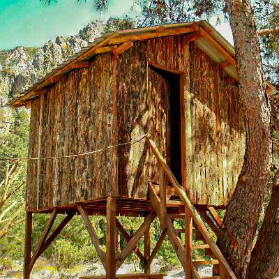 Saban Pansion Treehouses