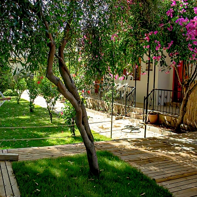 Surf Butik Hotel