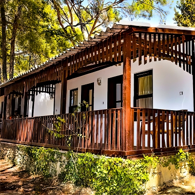 Mutlu Kamp